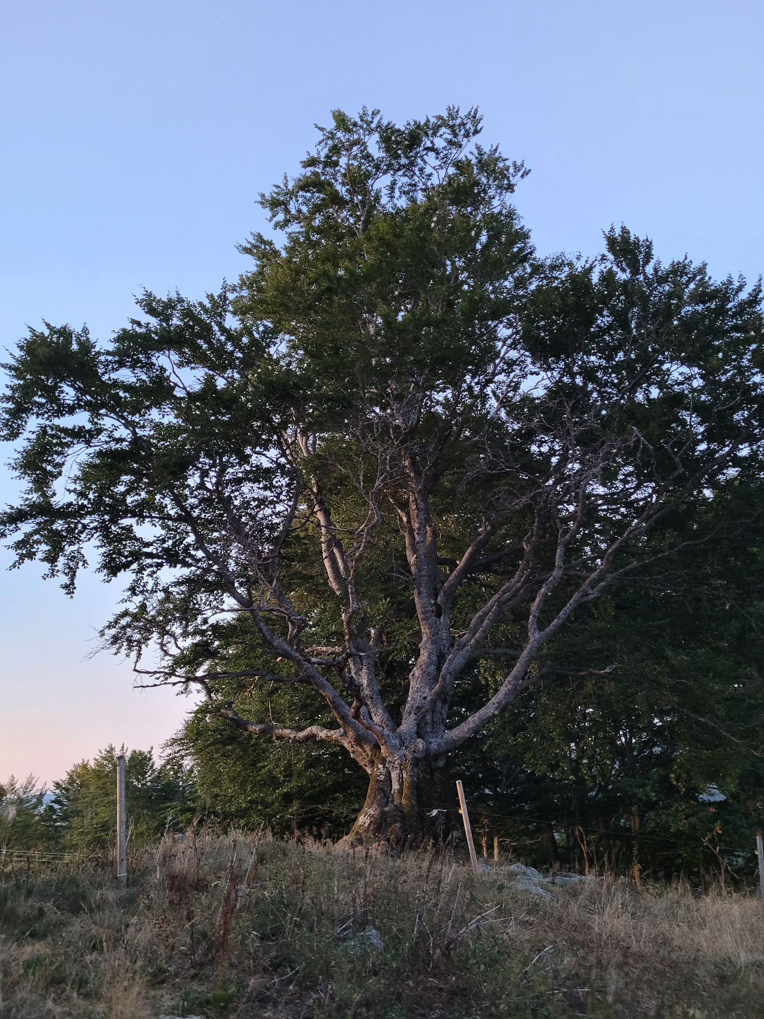 20220813210539 20220813 210538